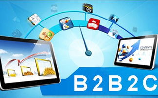 多用戶商城系統開發 b2b2c