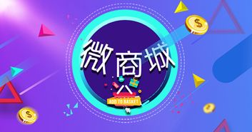 打造卓越的微信商城系統 B2C電子商務開發全攻略